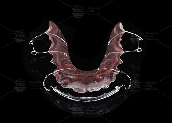 China tandheelkundig laboratorium roestvrij staal en acryl orthodontische Hawley retainer voor orthodontische behandeling